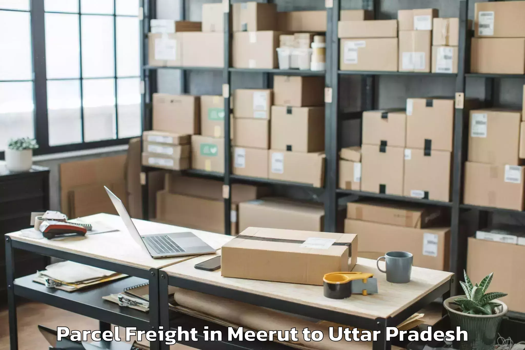 Reliable Meerut to Satrikh Parcel Freight